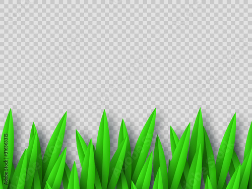 Vector green grass border isolated on transparent background. Paper cut style. Spring or summer plant leaves.