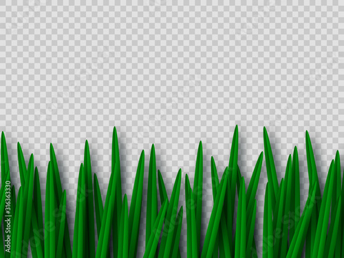 Vector green grass border isolated on transparent background. Paper cut style. Spring or summer plant leaves.
