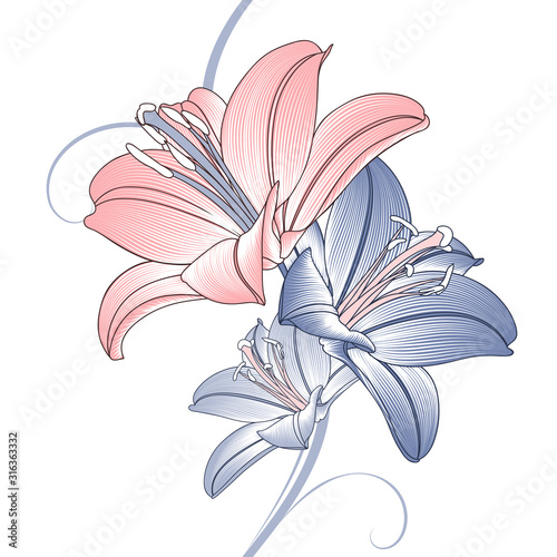 Seamless hand drawn floral pattern with lily flowers. Vector illustration. Element for design.