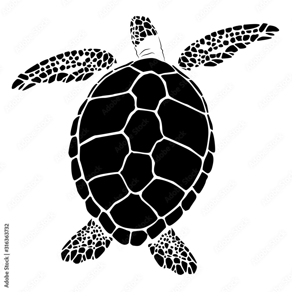 Fototapeta premium graphic sea turtle,vector illustration of sea turtle,vector of turtle design on a white background,save a turtle.