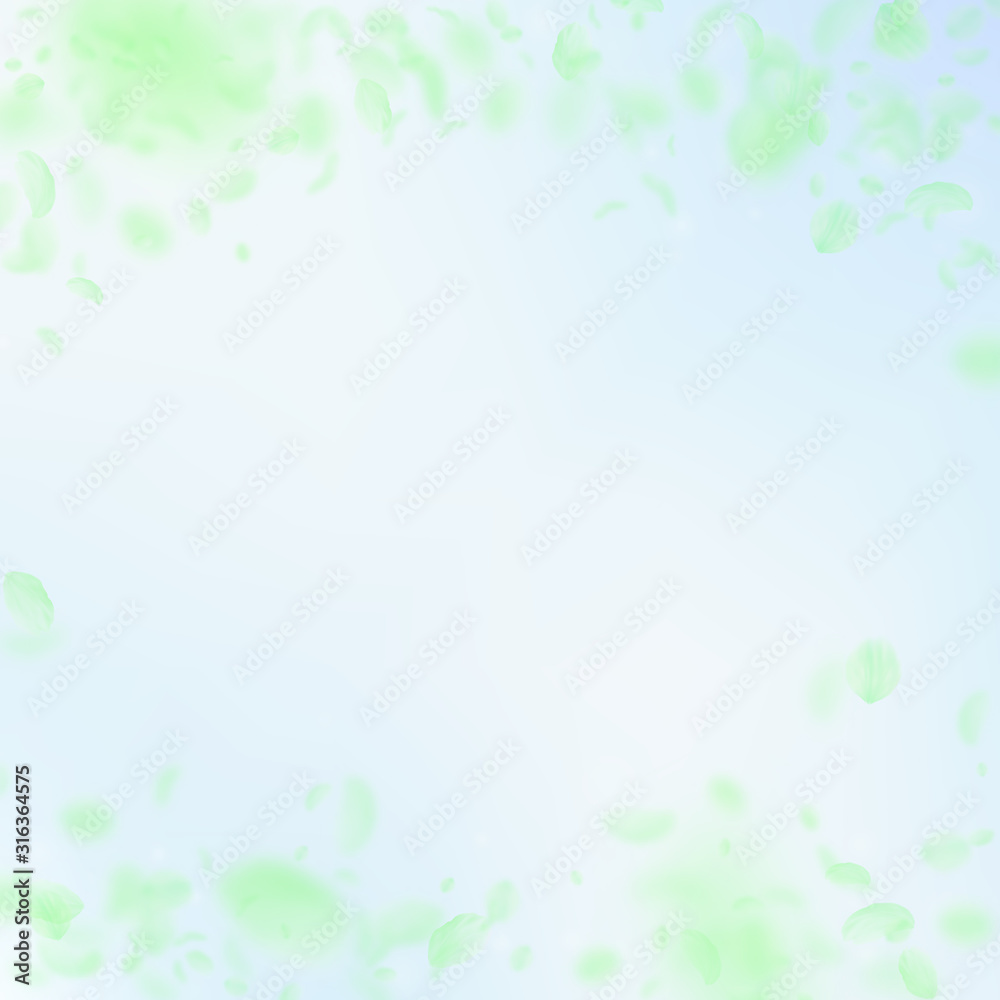 Green flower petals falling down. Original romanti Green flower petals falling down. Original romanti