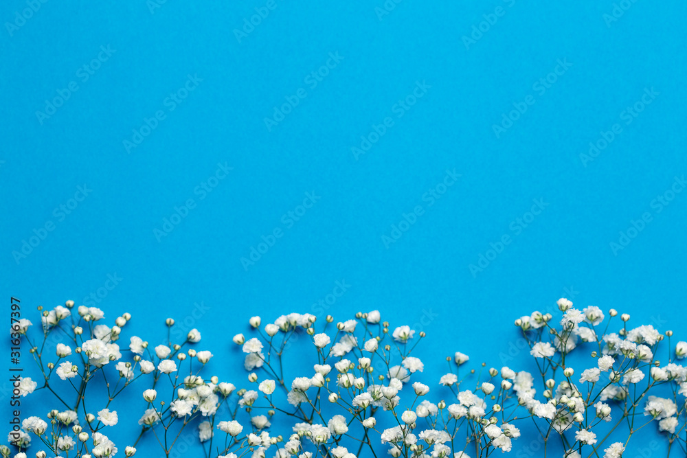 Floral composition with light small white gypsophila flowers on deep blue  background, top view, frame, background Stock Photo | Adobe Stock