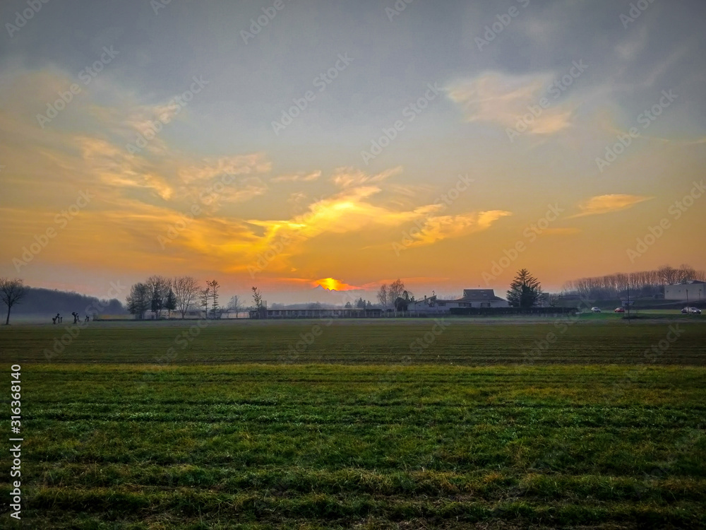 sunset over the field