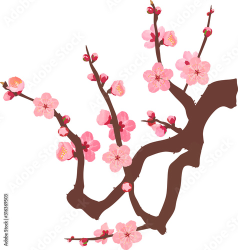 梅の花 水彩風 枝05 ベクター