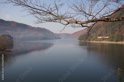 朝の湖（Japanese Lake)