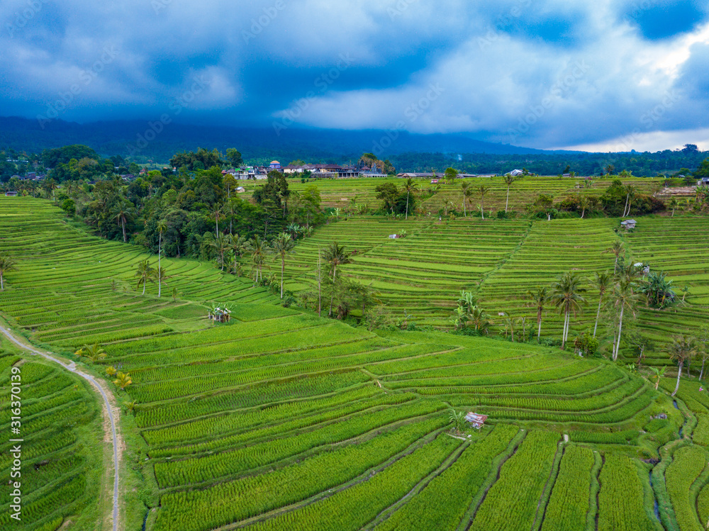Bali rice field terrace aerial footage taken during cloudy day in Jatiluwih Unesco heritage protected landscape and famous movie set in Indonesia