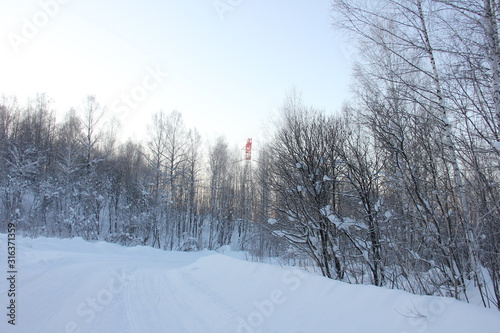 A cleared snowy road in the forest. Naked trees in the evening .winter landscape