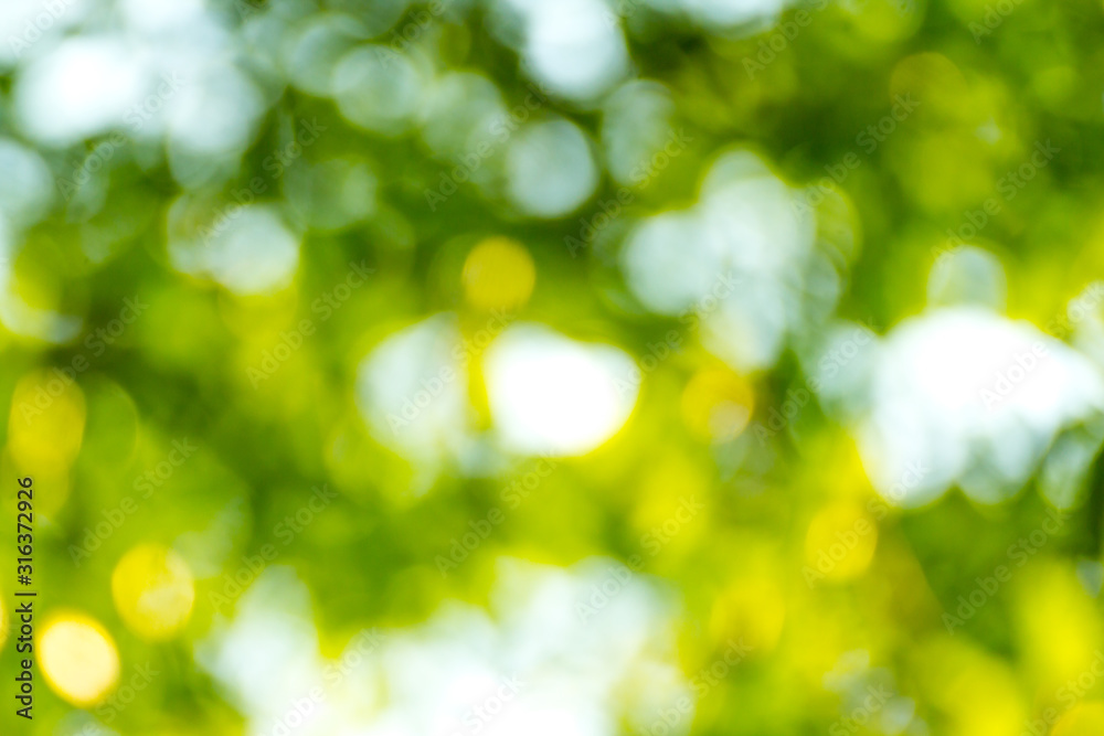 abstract green bokeh background abstract green bokeh background