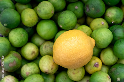 Background of fresh lemon and lime