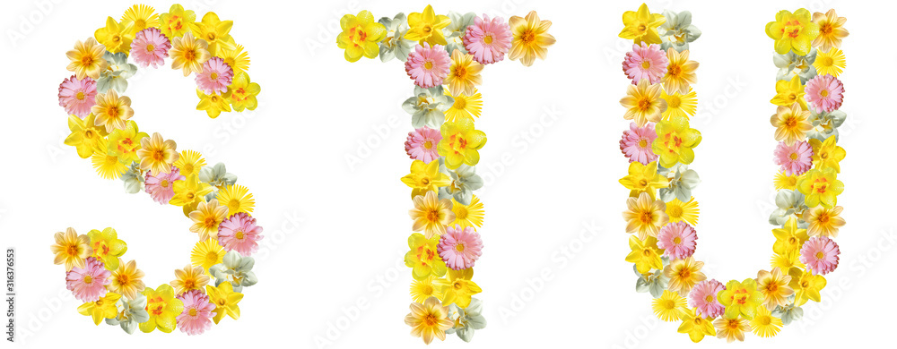 Letters of flowers. D, E, F. Yellow, white and pink flowers: daffodils, gerberas, daisies. Bright creative concept, white background. English alphabet. The concept of congratulations, spring, summer.