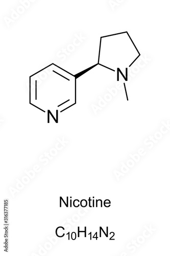 Nicotine molecule skeletal formula. 2D structure of C10H14N2, an addictive stimulant and alkaloid dried tobacco leaves for cigarettes and cigars. Structural formula. Illustration over white. Vector.