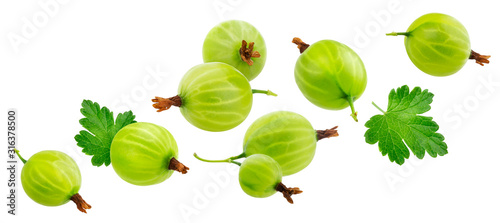 Green gooseberry isolated on white background, collection photo