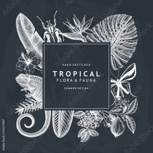 Tropical wreath design on chalkboard. Vector invitation and greeting card with hand drawn tropical plants, exotic flowers, palm leaves, insects and chameleon. Vintage wildlife frame. 
