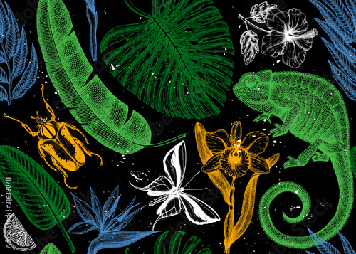 Tropical seamless pattern. Vector backdrop with hand drawn tropical plants, exotic flowers, palm leaves, insects and chameleon. Vintage wildlife background. 