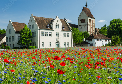 Münster St. Maria und Markus und blühendes Mohnfeld, Insel Reichenau, Bodensee, Baden-Württemberg, Deutschland