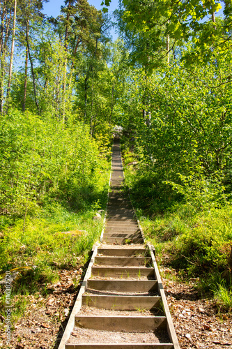 Wooden stairway from the lake to the garden  Hvittrask  Hvittr  sk   Kirkkonummi  Finland