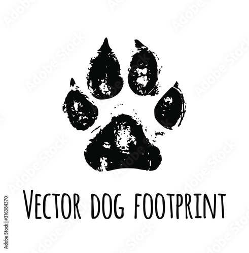 Vector black pet dog grunged footprint paw mark silhouette drawing sign illustration isolated on white background.T shirt print design.Sticker.