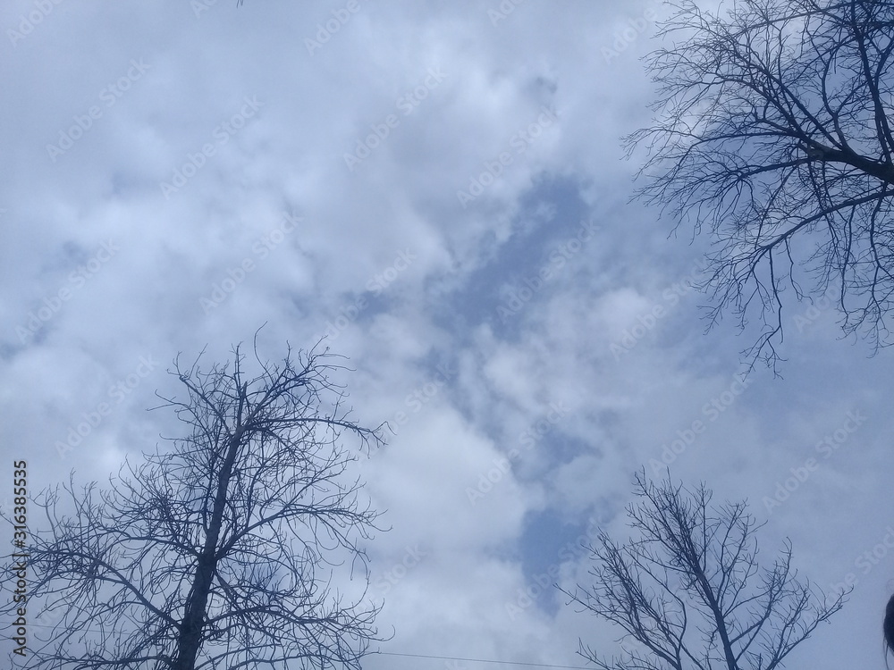 Paysages Paysages