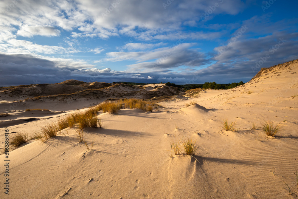 Dunes in the Slowinski National Park. Landscape with beautiful sky, clouds and dunes in the sun. Czolpino, Leba, Poland.