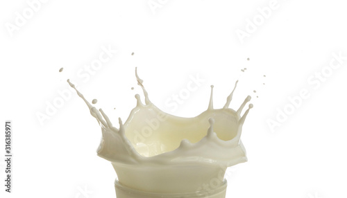 Milk splash droplet isolated on  white background