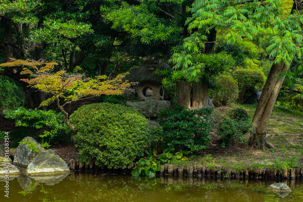 Fototapeta premium Japoński ogród