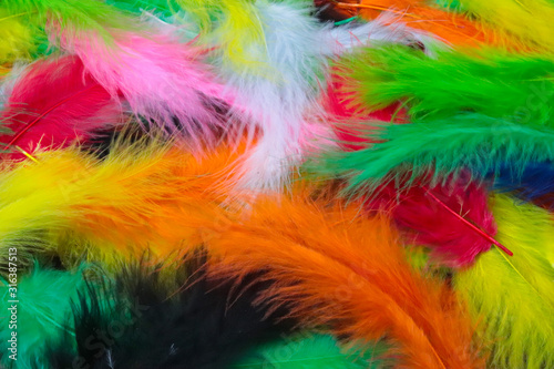 colorful feathers as a background