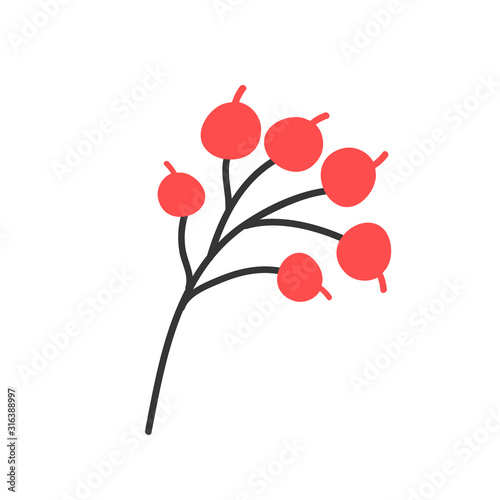Sprig with red berries. Vector illustration in doodle style. Christmas plant