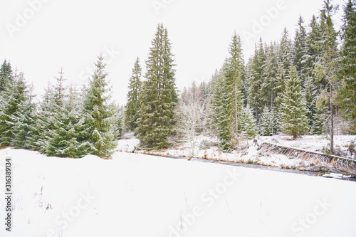 Winter landscape near Modrava in Sumava National Park                              