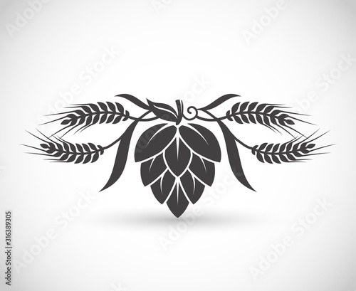 Hop and barley, brewery symbol vector