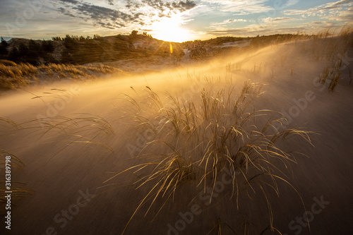 Dunes during a windy evening in the Slowinski National Park. Czolpino, Leba, Poland.