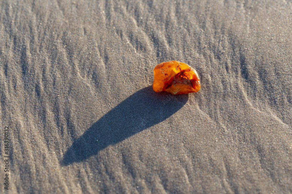 Amber on the beach in the Slowinski National Park. Czolpino, Leba, Poland.