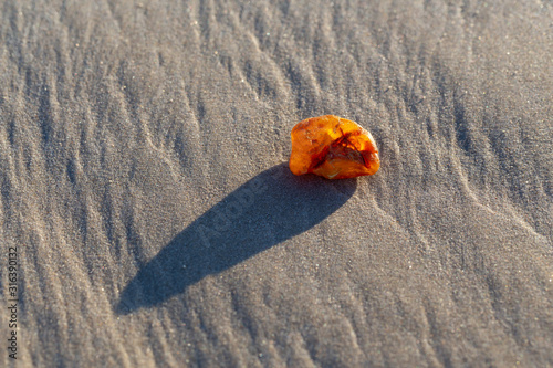 Obraz na płótnie Amber on the beach in the Slowinski National Park. Czolpino, Leba, Poland. w salonie