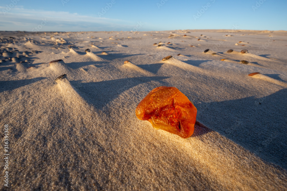 Amber on the beach in the Slowinski National Park. Czolpino, Leba, Poland.