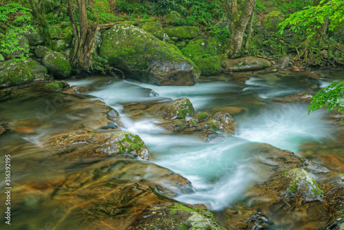 Summer landscape of a cascade on Big Creek captured with motion blur, Great Smoky Mountains National Park, Tennessee, USA