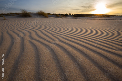 Obraz na płótnie Sand waves on sand dunes in the Slowinski National Park. Czolpino, Leba, Poland w salonie