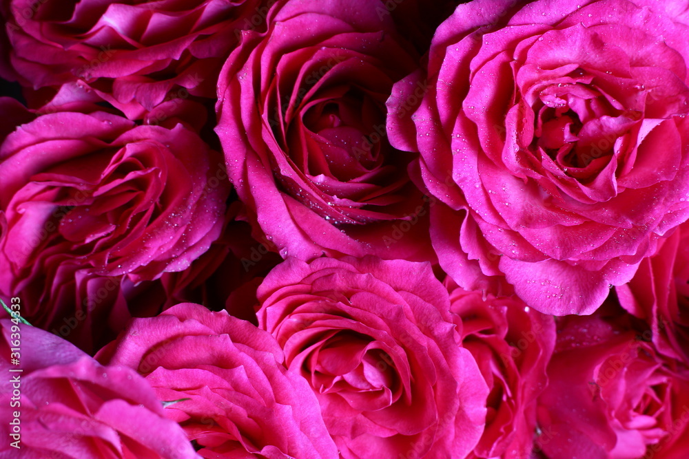 festive background with a bouquet of pink roses close-up festive background with a bouquet of pink roses close-up