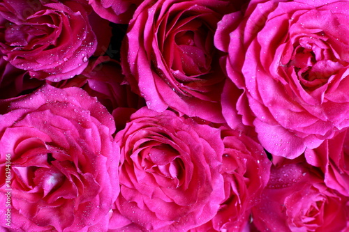 festive background with a bouquet of pink roses close-up
