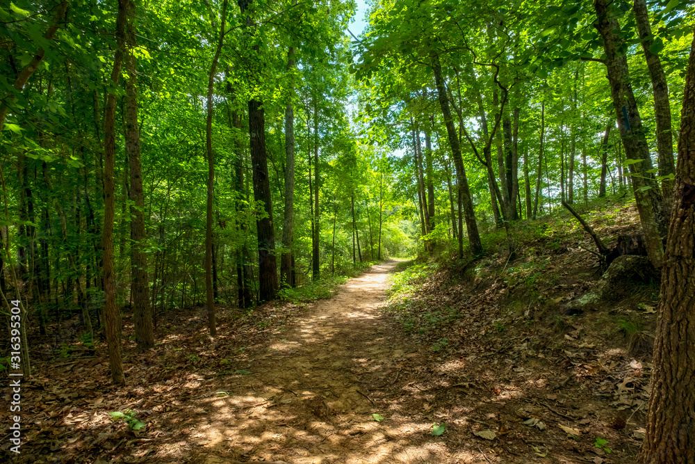 Mountain View Trail, Arabia Mountain, Georgia, USA