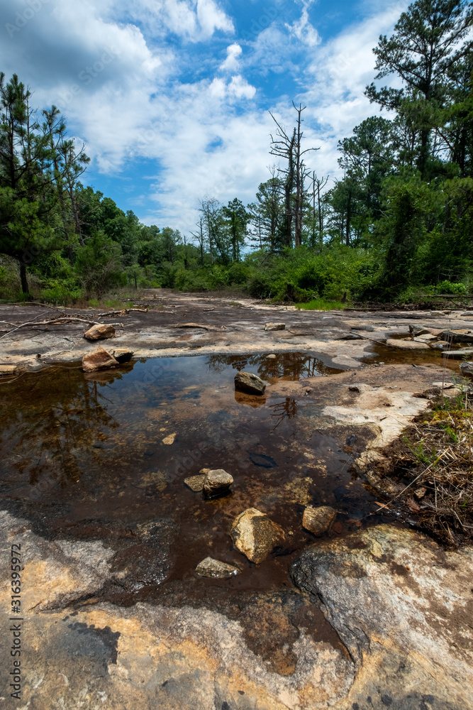 Water Puddle on Arabia Mountain, Georgia, USA Water Puddle on Arabia Mountain, Georgia, USA