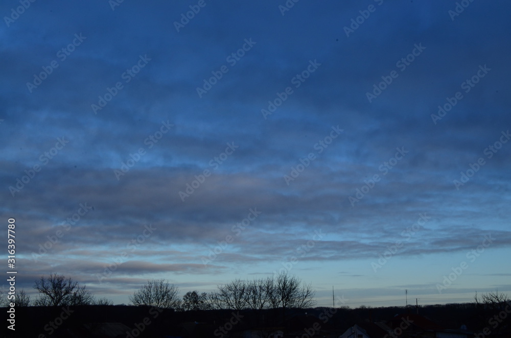 landscape with evening sky and trees