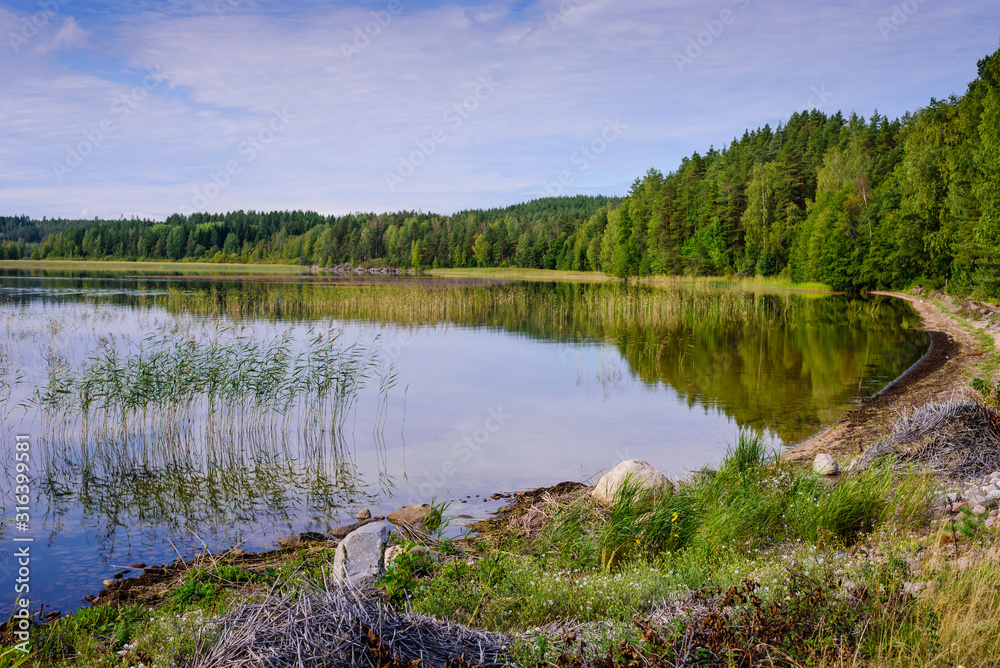 Beautiful forest lake in Finland. Traditional Finnish nature, beautiful summer landscape.