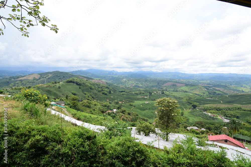  Coffee landscape in the mountains of Colombia