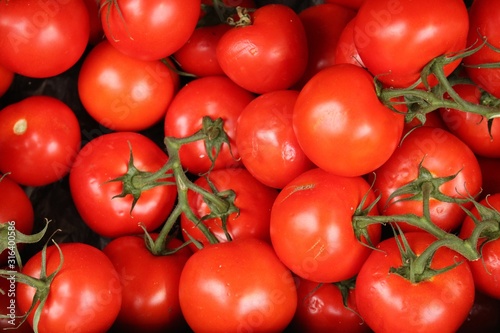 Ripe big red tasty tomatoes harvested in a greenhouse in winter