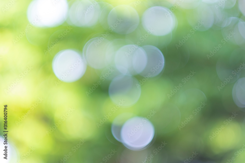 Obraz premium Zielone światło bokeh z tła drzewa i nieba to lśniący, naturalnie występujący cień, który nie jest czysty, ale piękny.
