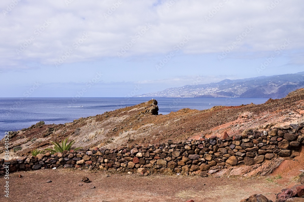 A stone fence with a palm in a desert near the Atlantic Ocean (Madeira, Portugal, Europe)