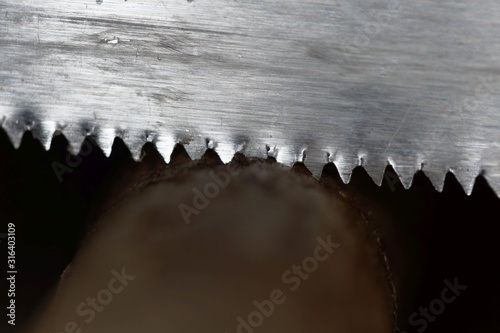 Macro photo of an saw cutting a branch.