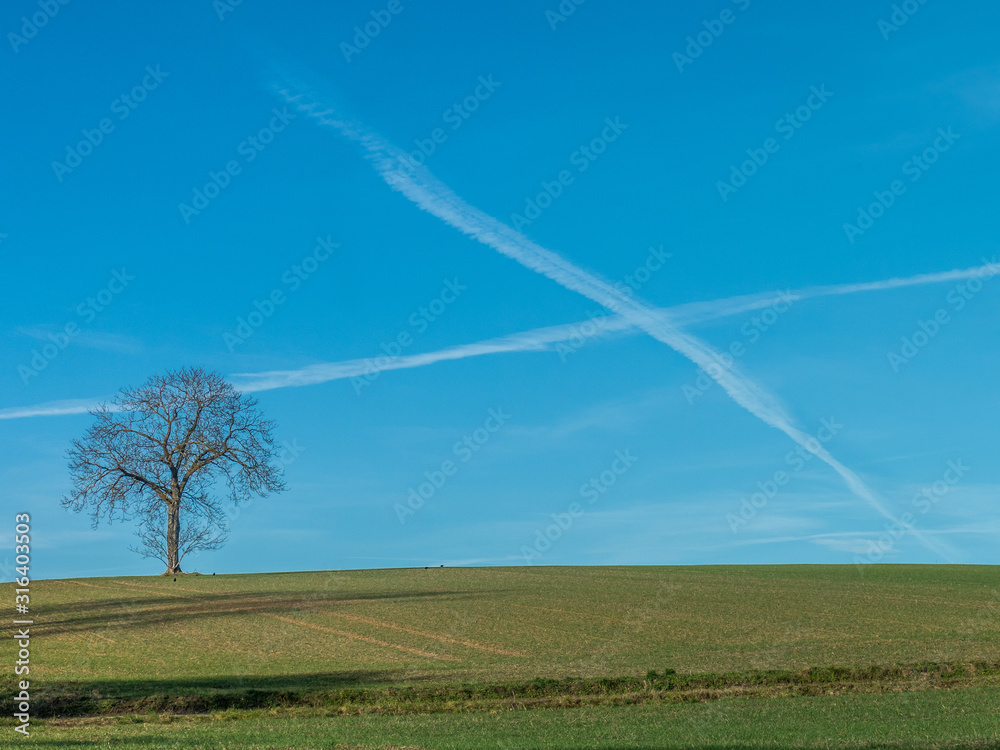 Kahle Bäume und Kreuz aus Kondensstreifen Kahle Bäume und Kreuz aus Kondensstreifen