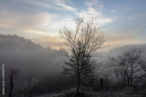 A series of misty landscapes in winter. Trees against the backdrop of mountain hills and а delicate sunrise colors. The village of Smolichano in the Osogovo Balkan. Bulgaria.