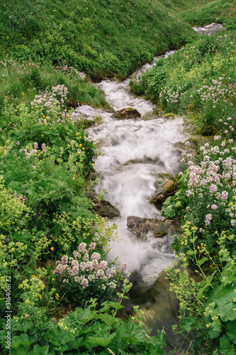 The source of the Molochka river is the Lagonaki plateau, flowing into the Kurjips. photo