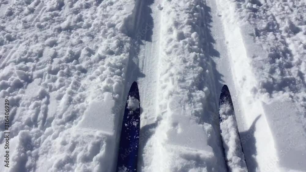 Cross country skiier going downhill on a track. Austria, Europe.